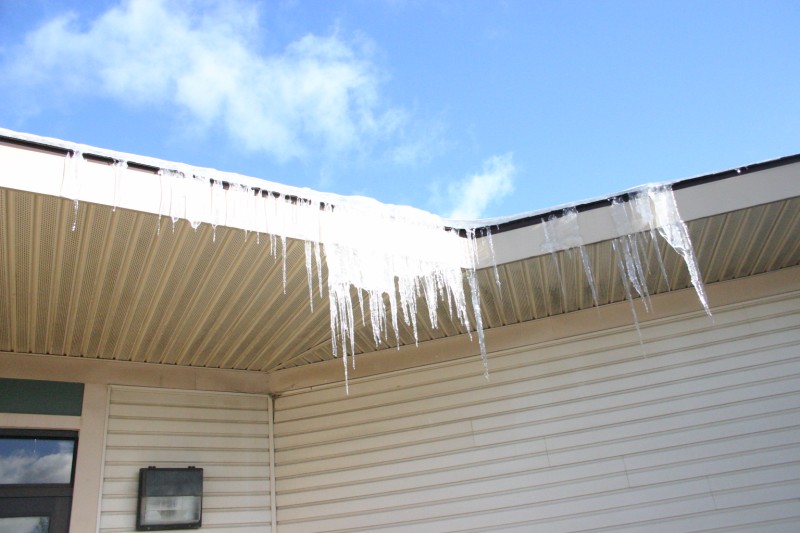 IMG_0463 [800x600].JPG